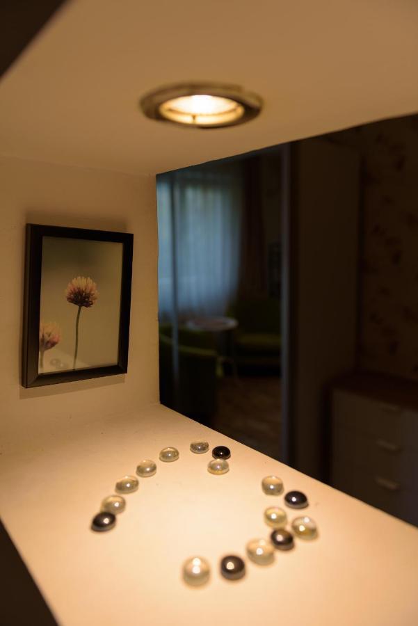 Apartament, Ultracentral, Piata Victoriei Boekarest Buitenkant foto