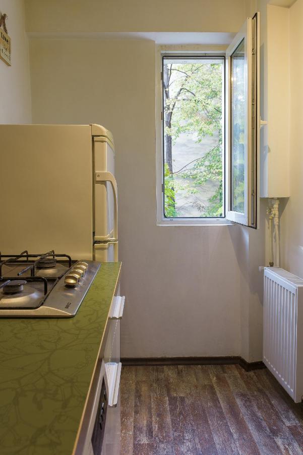 Apartament, Ultracentral, Piata Victoriei Boekarest Buitenkant foto